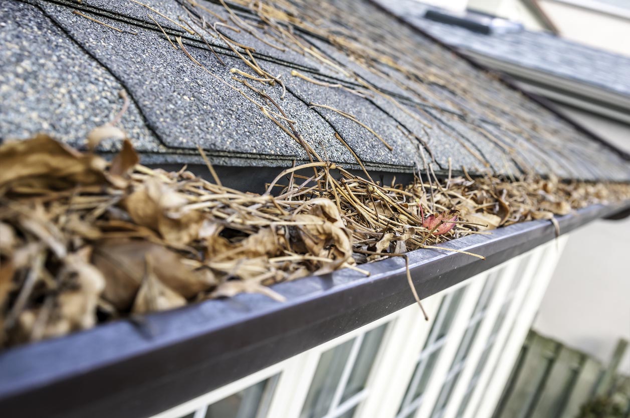 Gutter Cleaning Cost Signs You Need Gutter Cleaning