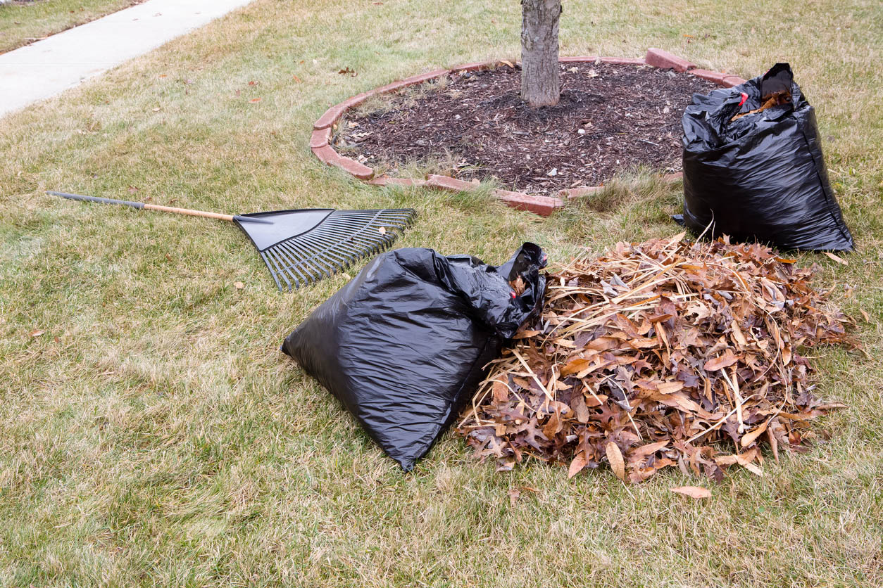 How to Pick the Best Leaf Removal Service After Searching ‘Leaf Removal