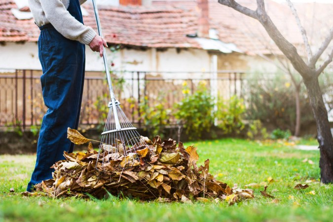 How Much Does Yard Cleanup Cost?