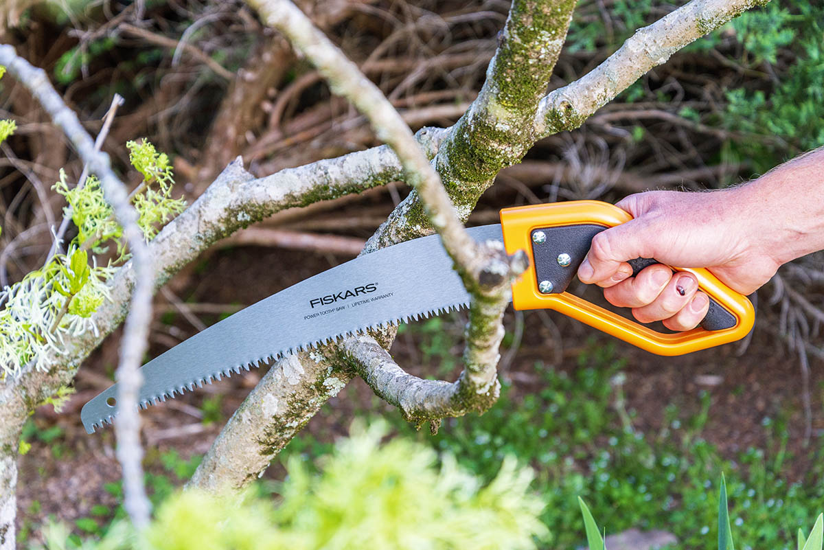 The Best Pruning Saw Options