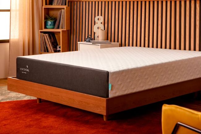 The Best Mattress Brands Option: Cocoon by Sealy