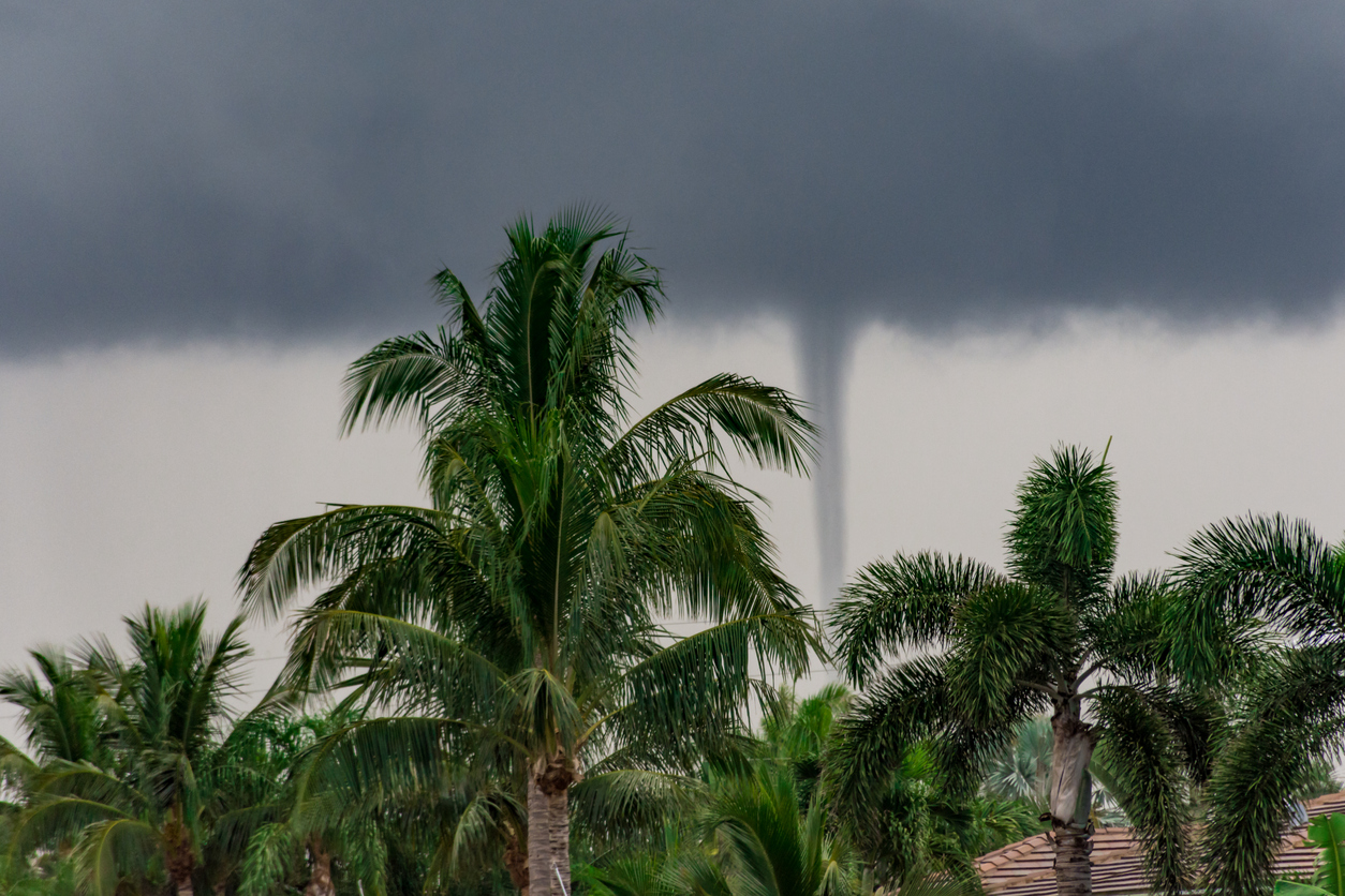 Tornado touching down in Florida with palm trees in the foreground