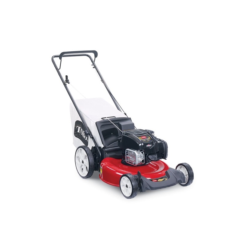 Toro Recycler 21 in. Gas Self Propelled Lawn Mower