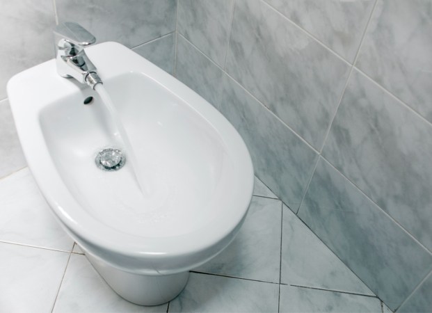 Solved! What is a Bidet?