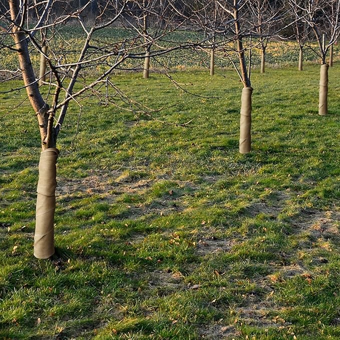 DECHOS burlap tree wraps on three trees in a field.