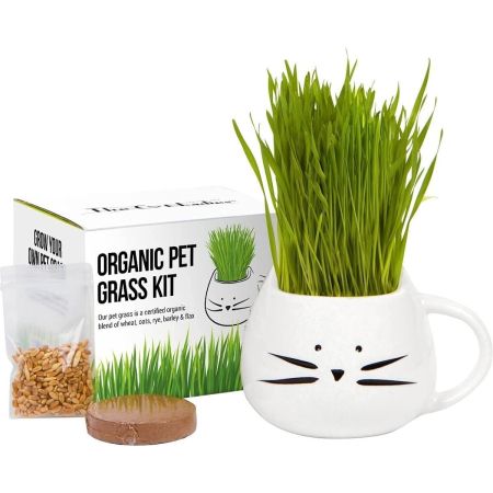The Cat Lady's Store Organic Cat Grass Growing Kit