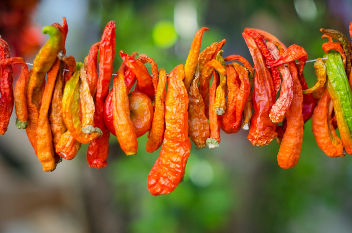 how to dry peppers