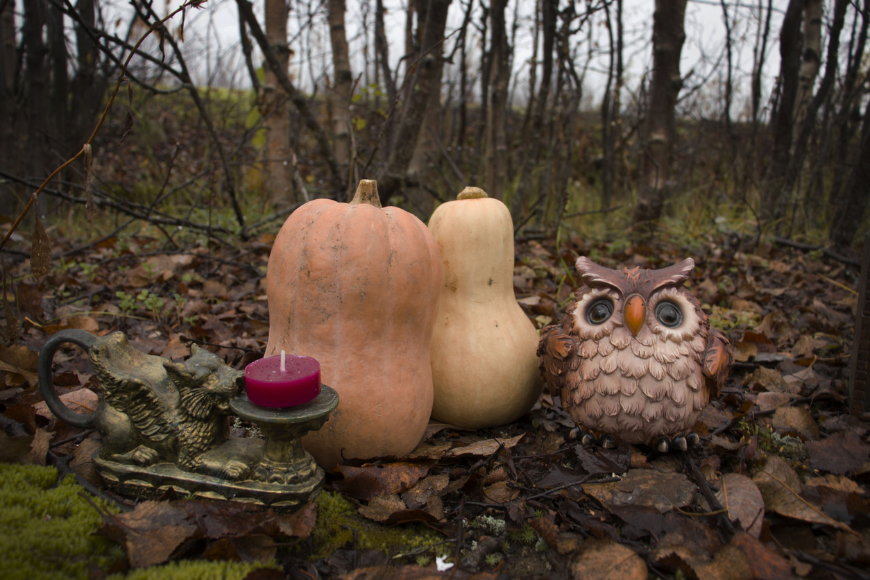 decoy oil with squash gourds outside in the forest