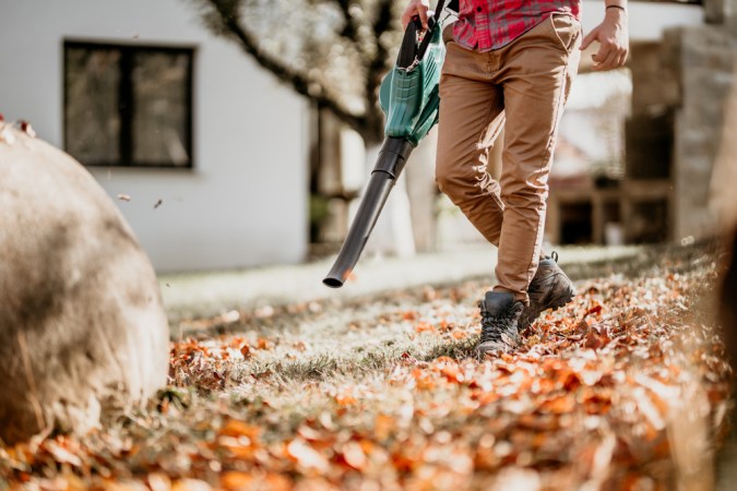 How to Pick the Best Leaf Removal Service After Searching ‘Leaf Removal Near Me’