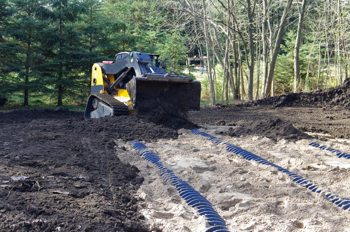 Things You Can (and Can't) Put on Your Septic Field