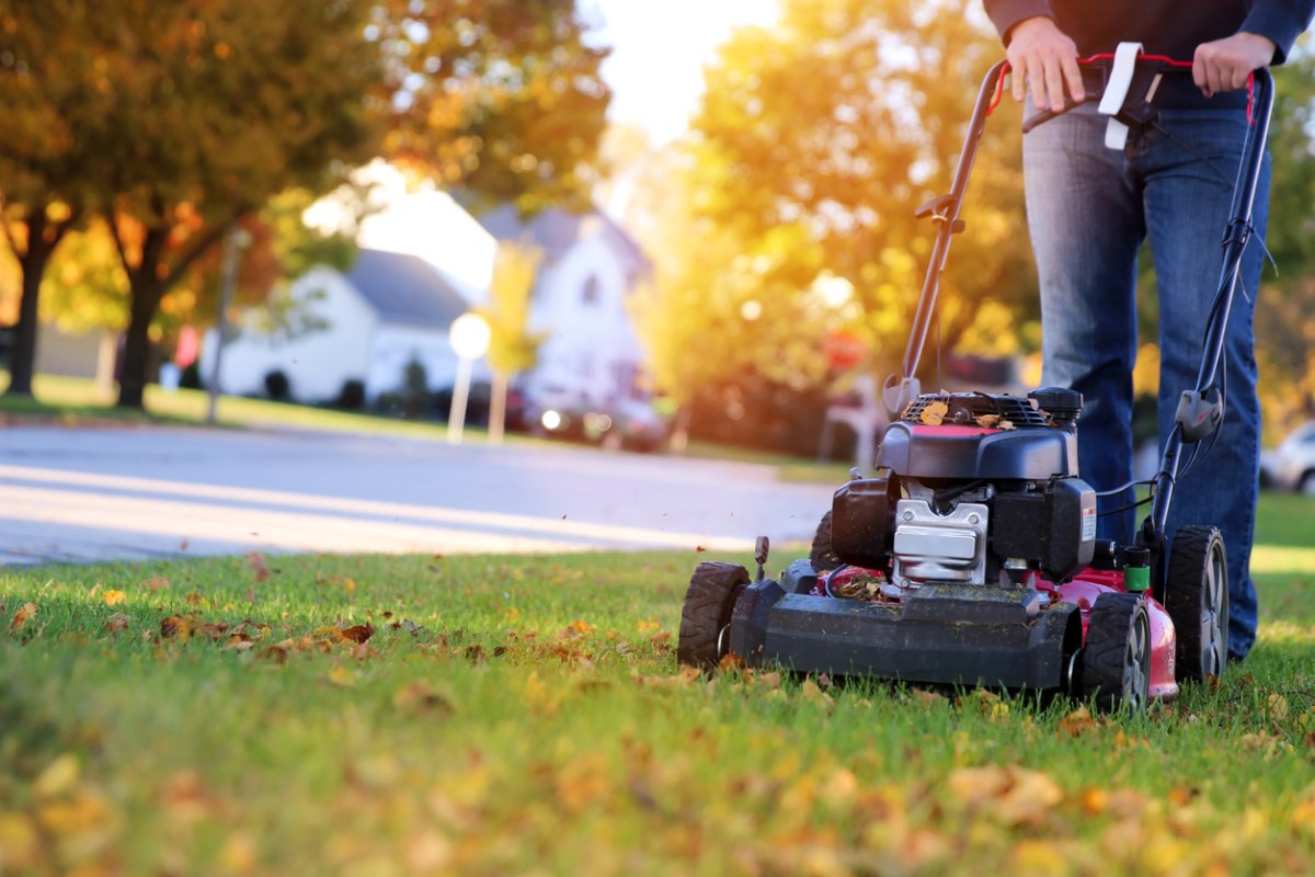 winterize lawn mower
