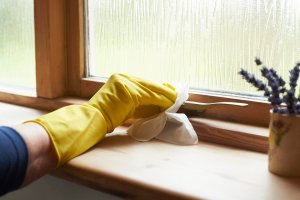 Wiping down the window sill with yellow rubber gloves on and a potted plant nearby.