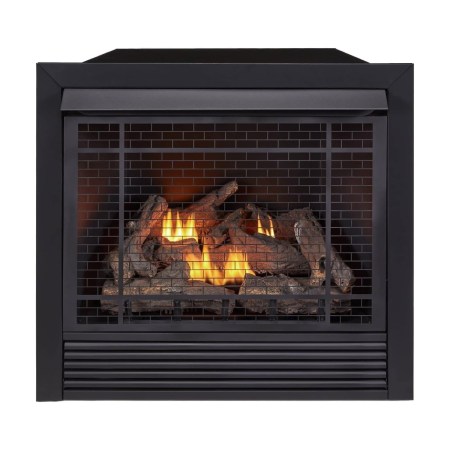 Duluth Forge Dual-Burner Fireplace Insert and Remote 