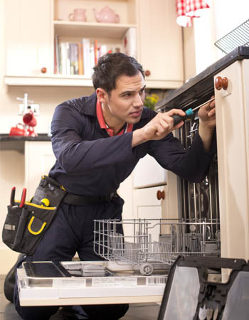 Dishwasher Installation Cost