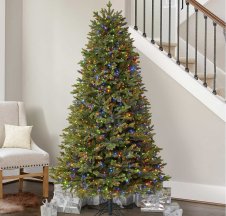 The Best Places to Buy Christmas Trees Option: Costco