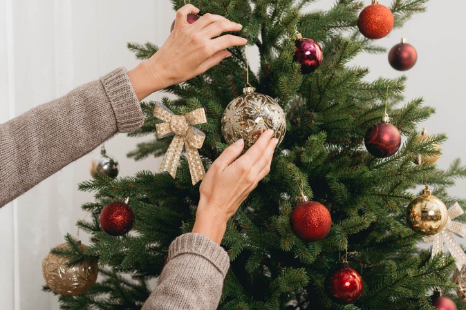 The Best Places to Buy Christmas Trees in 2023
