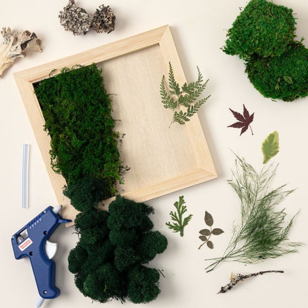 The Best Craft Kits for Adults Option: DIY Preserved Moss Frame Kit