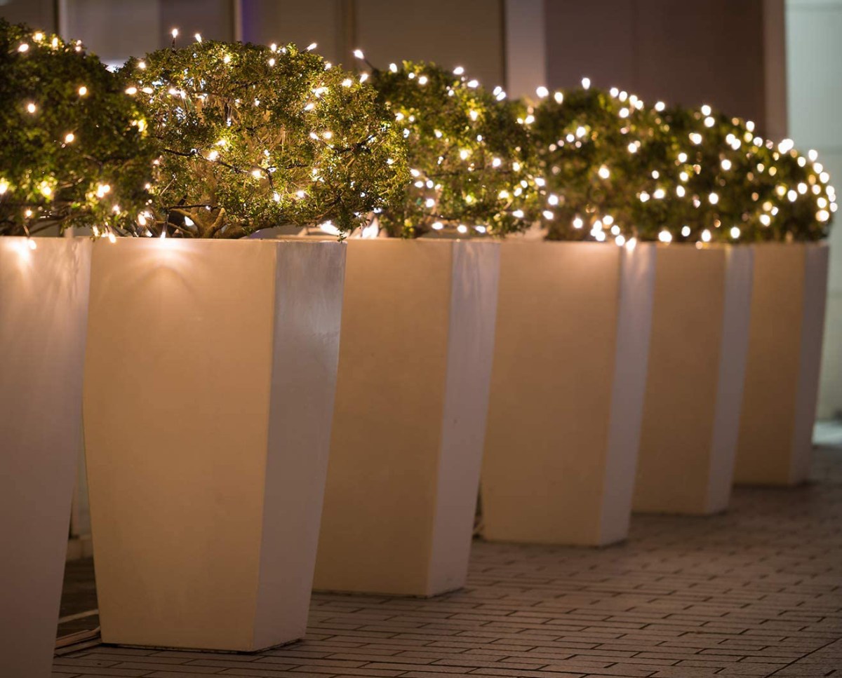 The best outdoor Christmas lights option on outdoor planters