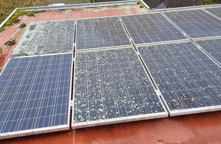 Series of solar panels on a rooftop, one of which has been cleaned and the other six are very dirty.