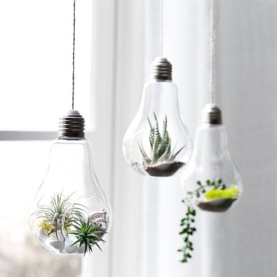 The Best Etsy Gifts Option: 3 Hanging Terrarium Bulbs