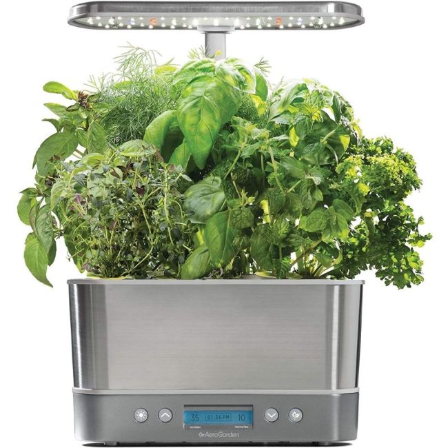The Best Gifts for New Homeowners Option: AeroGarden Harvest Elite