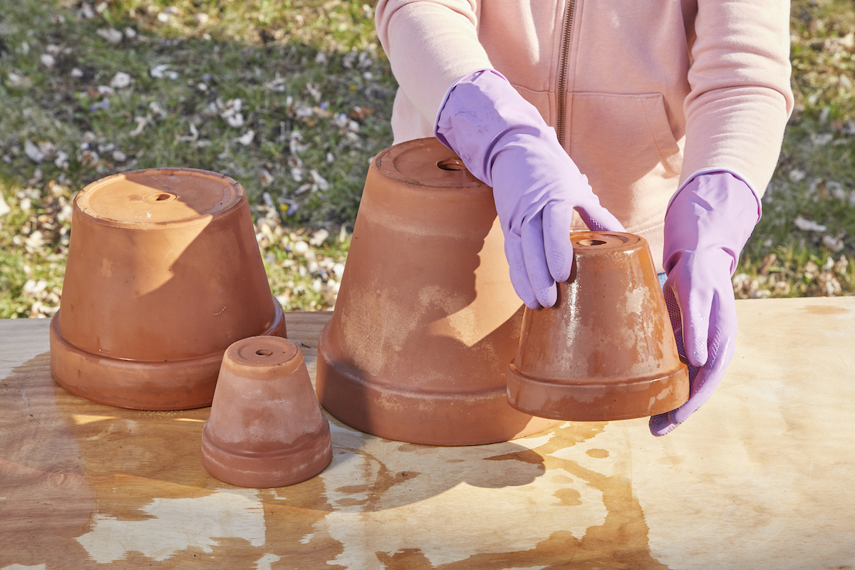 Woman wearing rubber gloves with four inverted terra-cotta pots on an outdoor table.