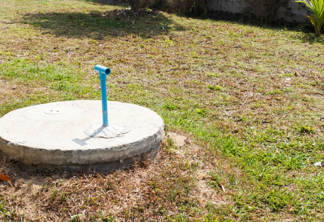 Things You Can (and Can’t) Put on Your Septic System’s Leach Field
