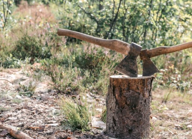 types of axes