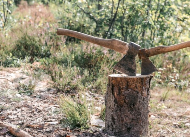 11 Types of Axes Every Homeowner Should Know