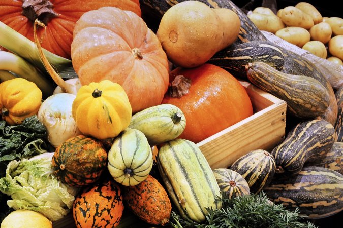 types of squash