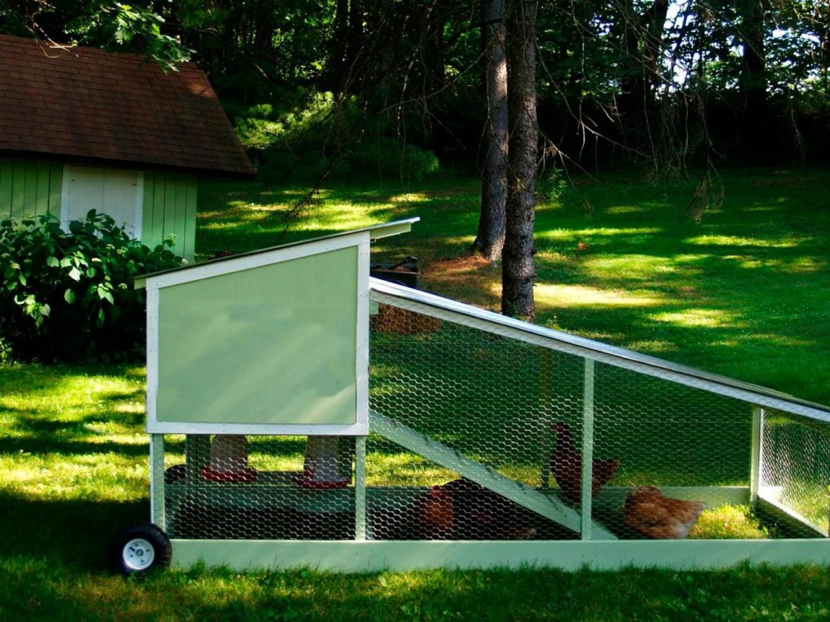 10-foot-by-4-foot chicken tractor coop, built and painted green