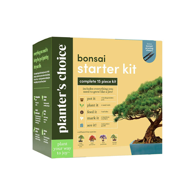 Best Trees as Gifts Option: Bonsai Starter Kit