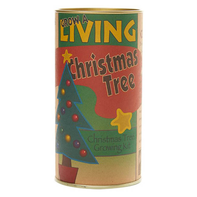 Best Trees as Gifts Option: Christmas Tree (Balsam Fir) Seed Grow Kit