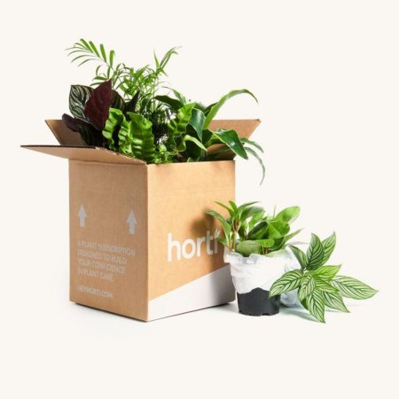  Best Plant Subscription Boxes Option: Horti