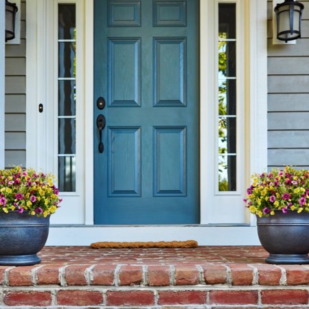  Best Plant Subscription Boxes Option: Knock! Knock!