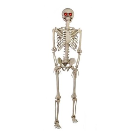 Home Accents 5 ft. Hanging Plastic Posable Skeleton 