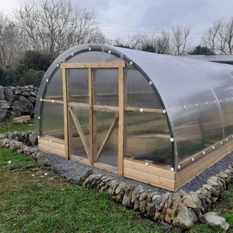 STORMIE 20 ft Stormproof polytunnel greenhouse built by BurrenGardenBuilding