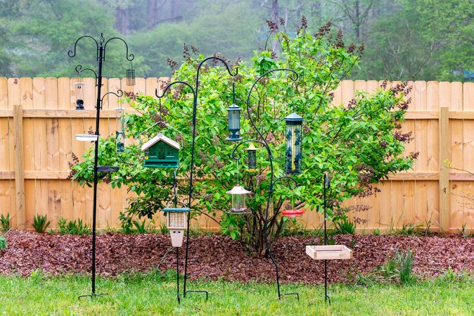 Weekend Projects: 5 Quirky Ways to Build a Bird Feeder