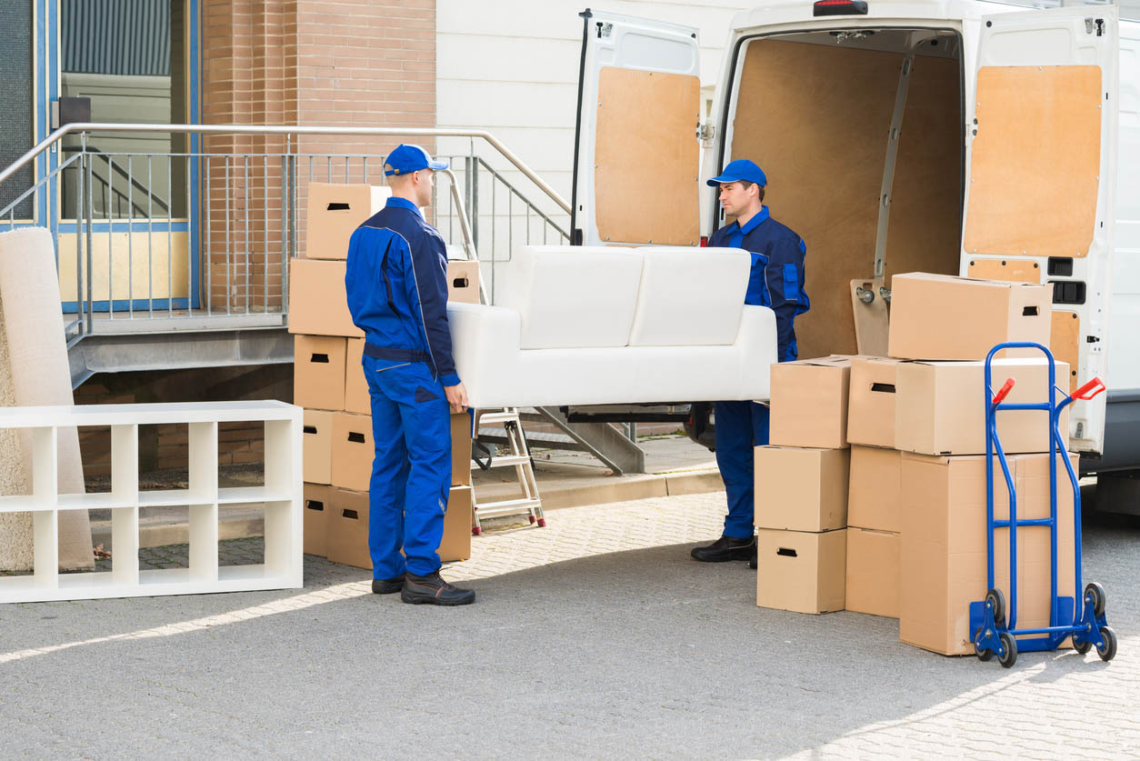 The Best Moving Companies Options