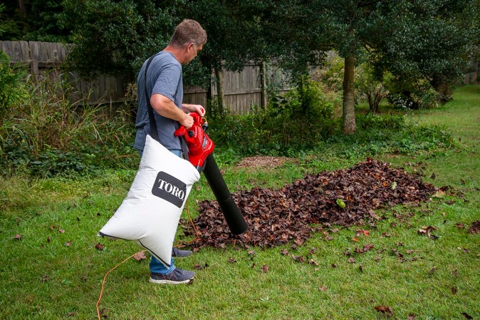 The Best Leaf Blowers Tested in 2024