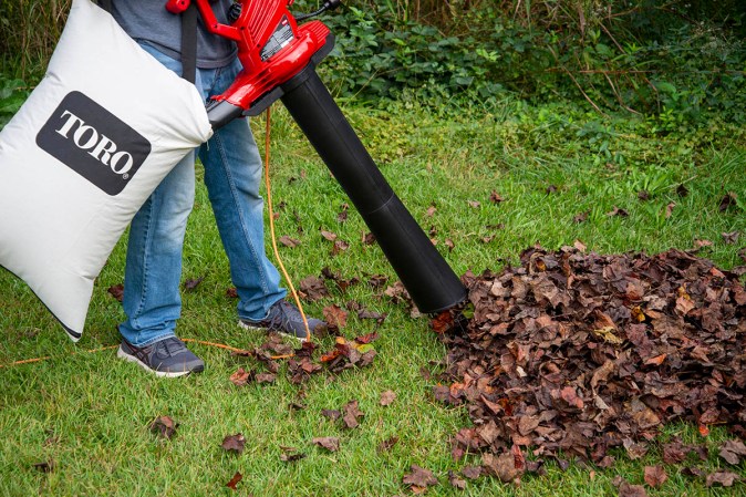10 Electric Leaf Blowers Work Great Without Gas