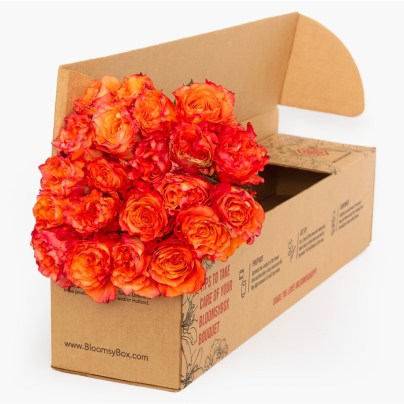 best flower subscriptions option: BloomsyBox