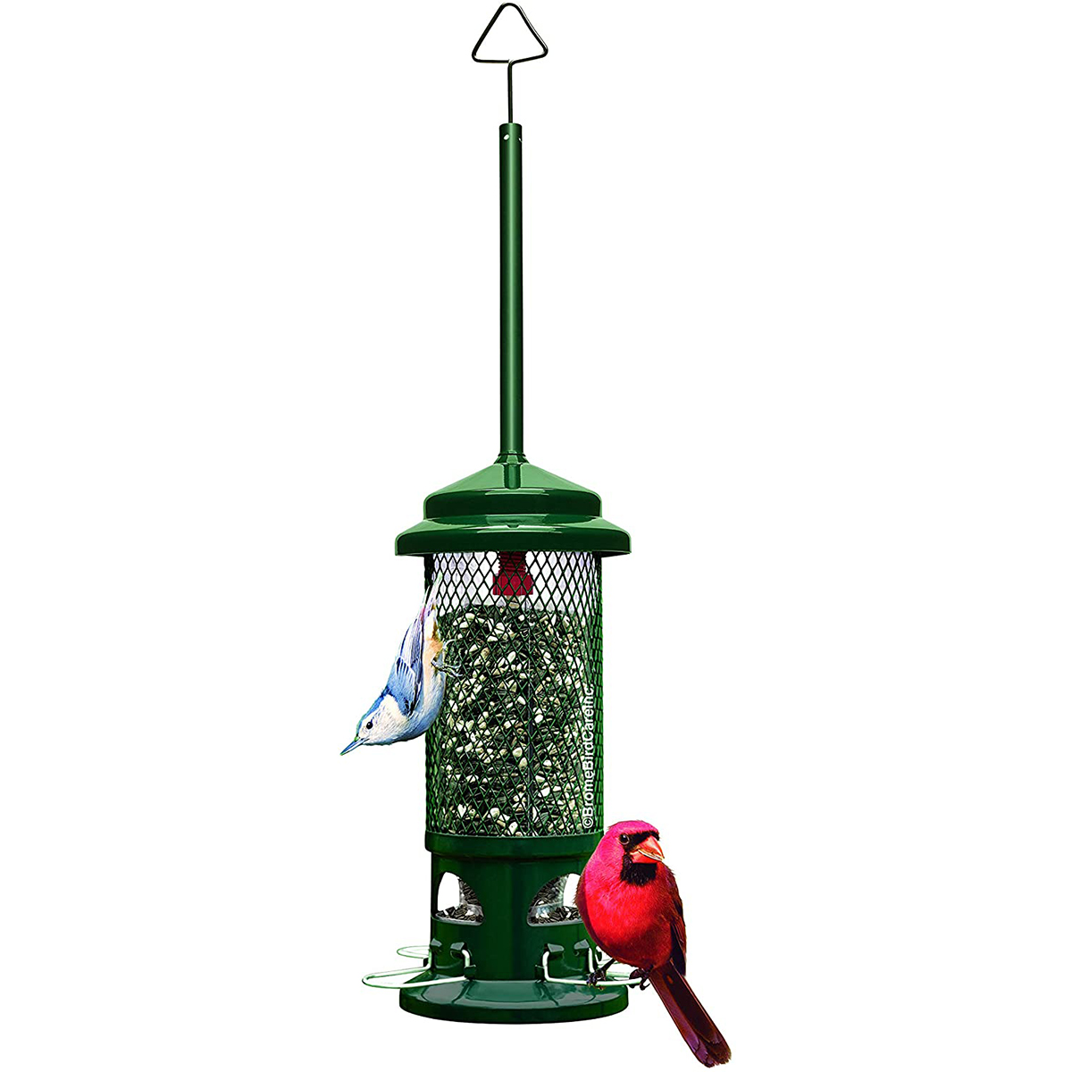 Brome Squirrel Buster Standard Squirrel-proof Feeder 
