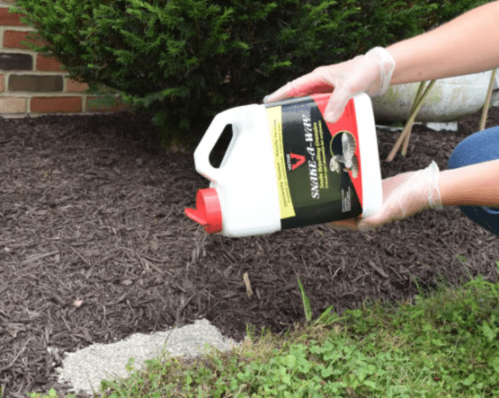 The 10 Best Rabbit Repellents to Protect Your Garden, Vetted