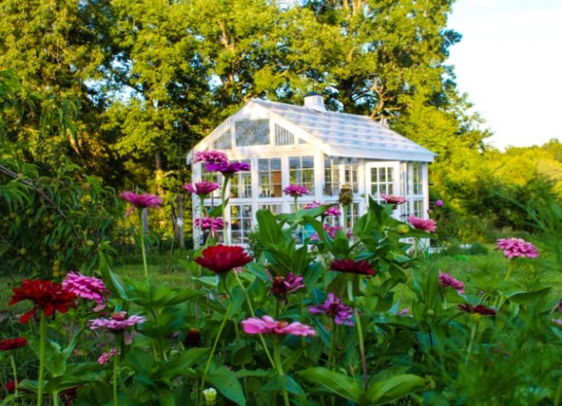 12 DIY Greenhouse Plans for Gardeners on a Budget 