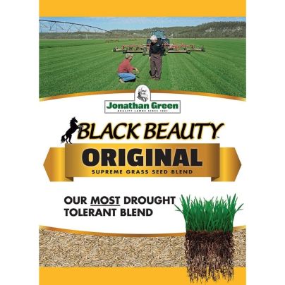 The Best Grass Seed for Overseeding Option: Jonathan Green Black Beauty Grass Seed