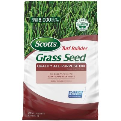 The Best Grass Seed for Overseeding Option: Scotts Turf Builder Grass Seed All-Purpose Mix