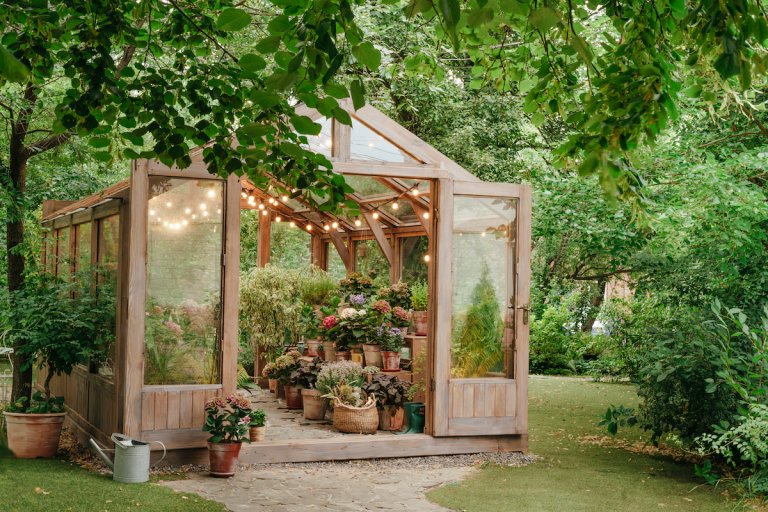 Wooden illuminated greenhouse in backyard