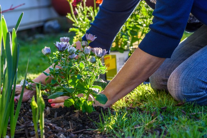 8 Top Tools for Taming Your Landscape