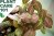 nerve plant care 101 - how to grow nerve plant indoors